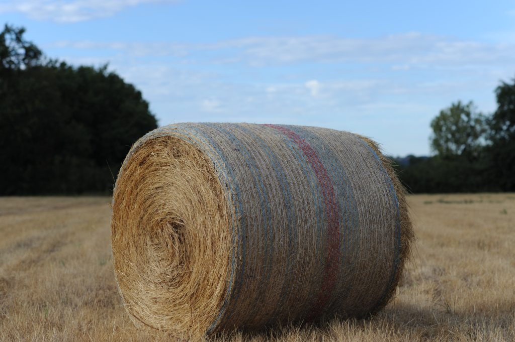 Botte de foin