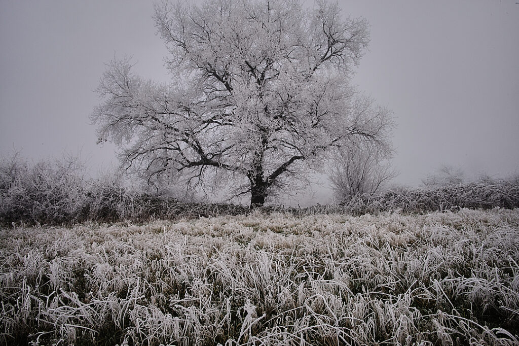 Hiver